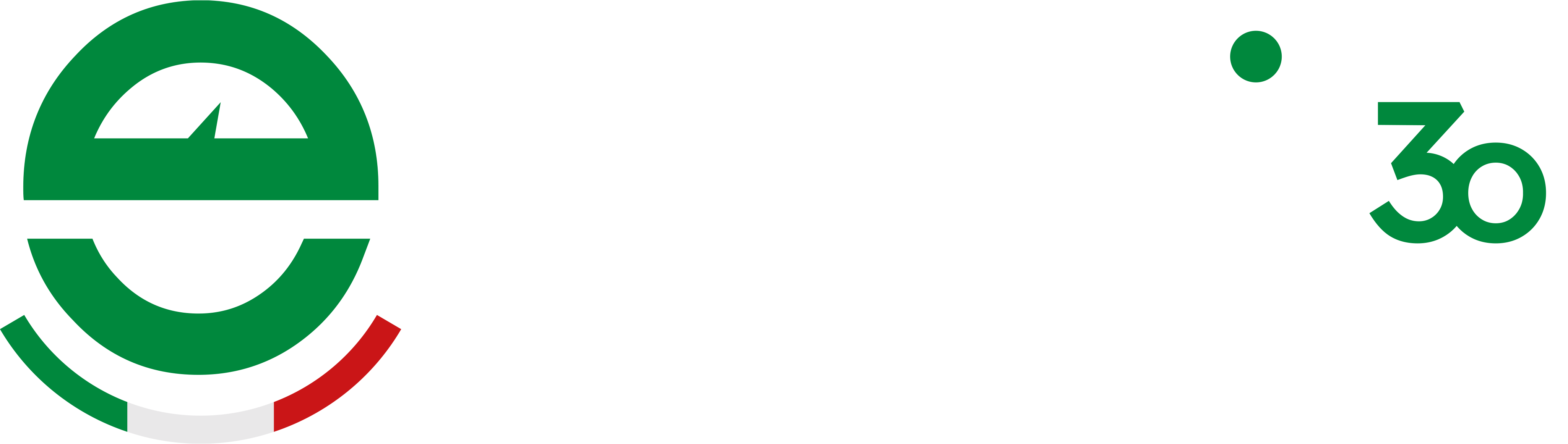 Logo 30Anni Bianco